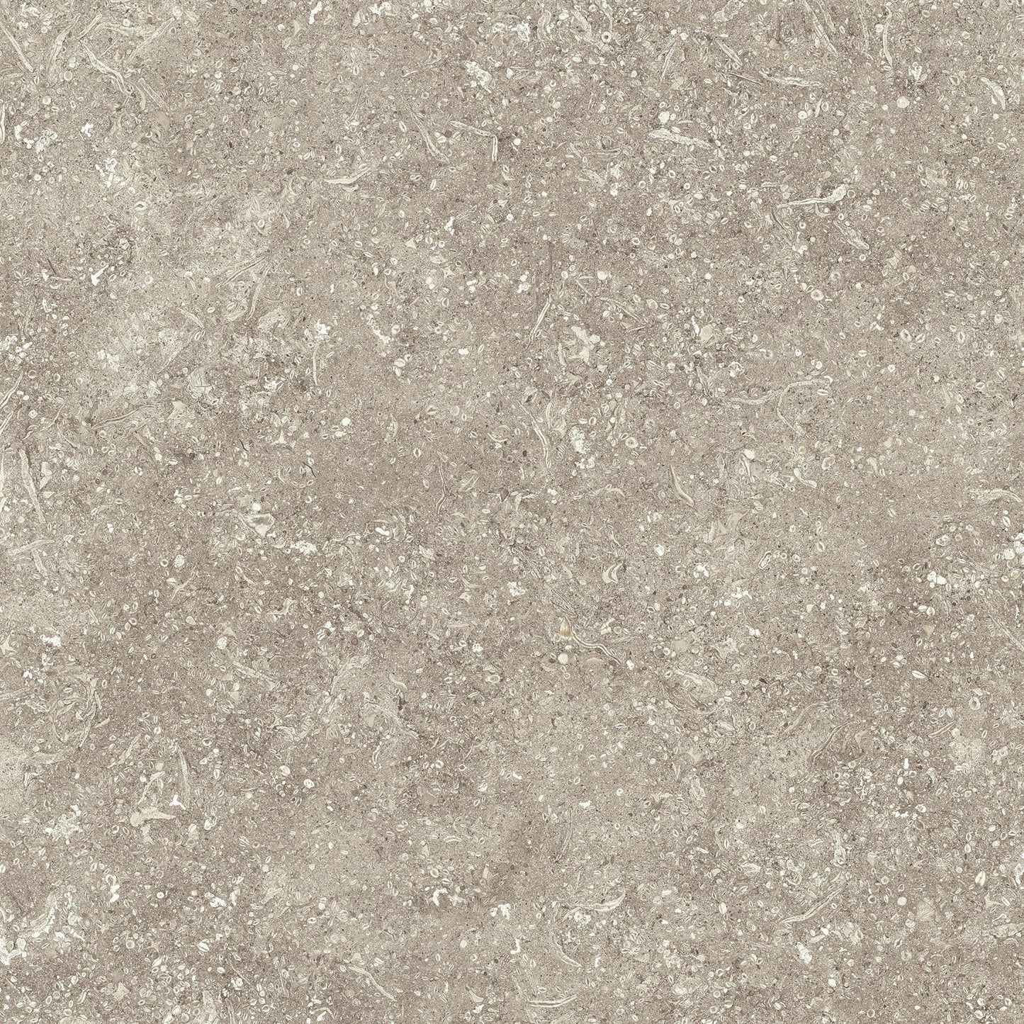NORD Smoke Matt Italian Porcelain floor tile 60x 60 Pack (IT0058)