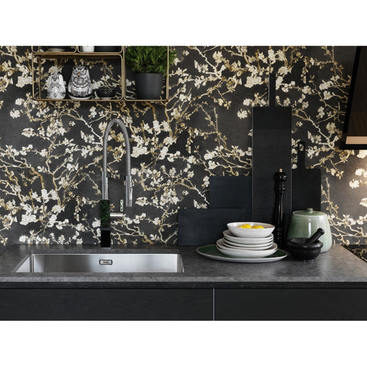 Franke BOX BXX 110 68 Stainless Steel Inset/Undermount Kitchen Sink