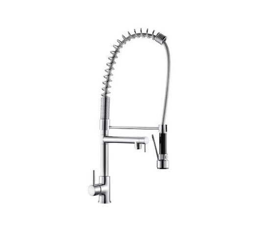 Reginox ALTUS CH Kitchen mixer tap Chrome